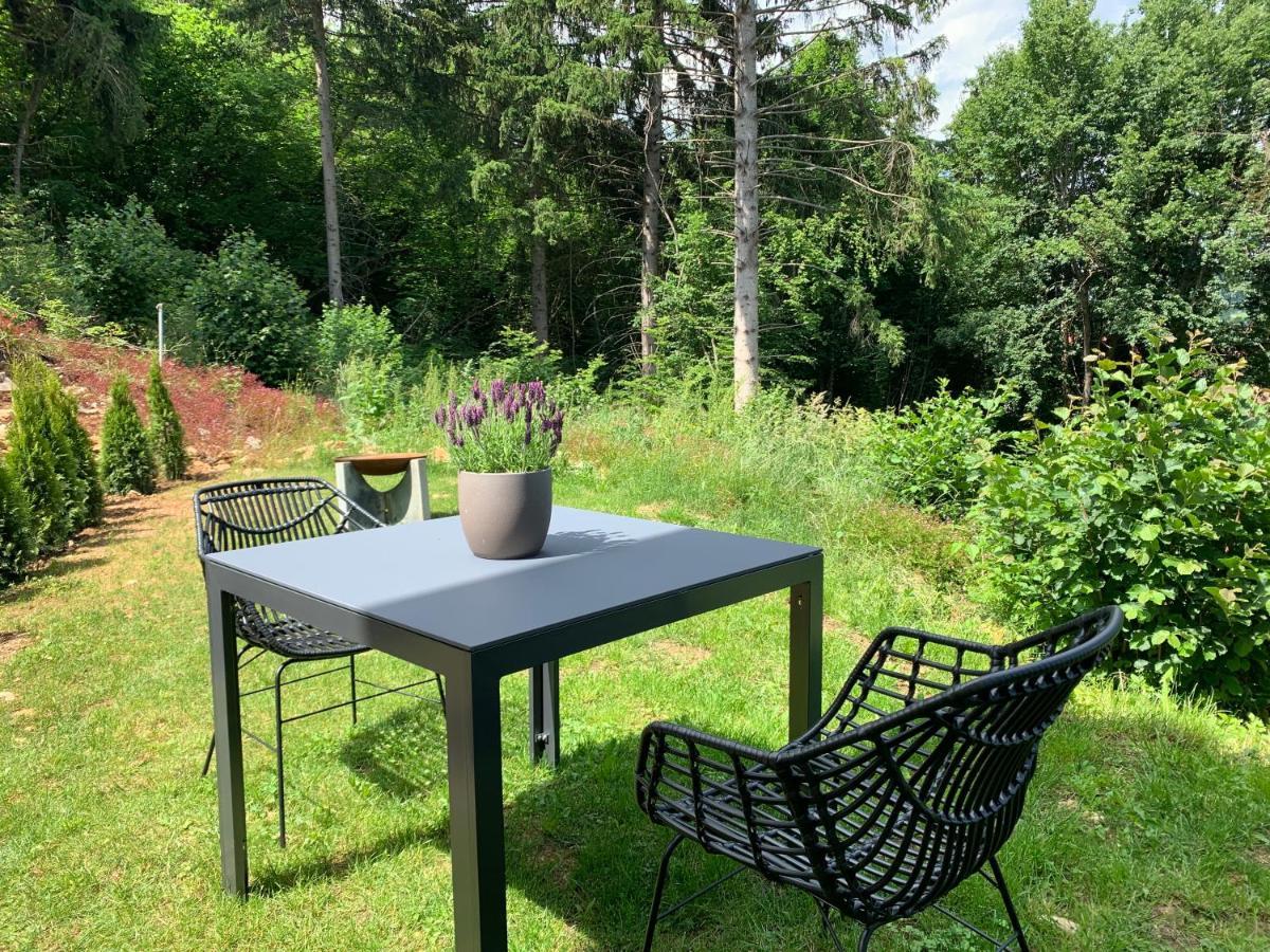 Moderne Wohnung Im Gruenen Mit Privatem Garten โดเนาเอชิงเงน ภายนอก รูปภาพ